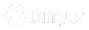 HOTEL DINGUS PLAYA